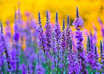 《僵尸世界大战：劫后余生》更新档加入大量新内容